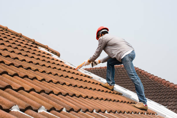 Best Skylight Installation and Repair  in Key Largo, FL