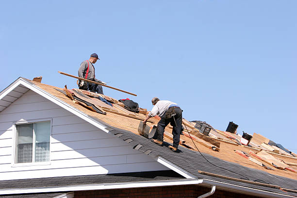 Best Cold Roofs  in Key Largo, FL